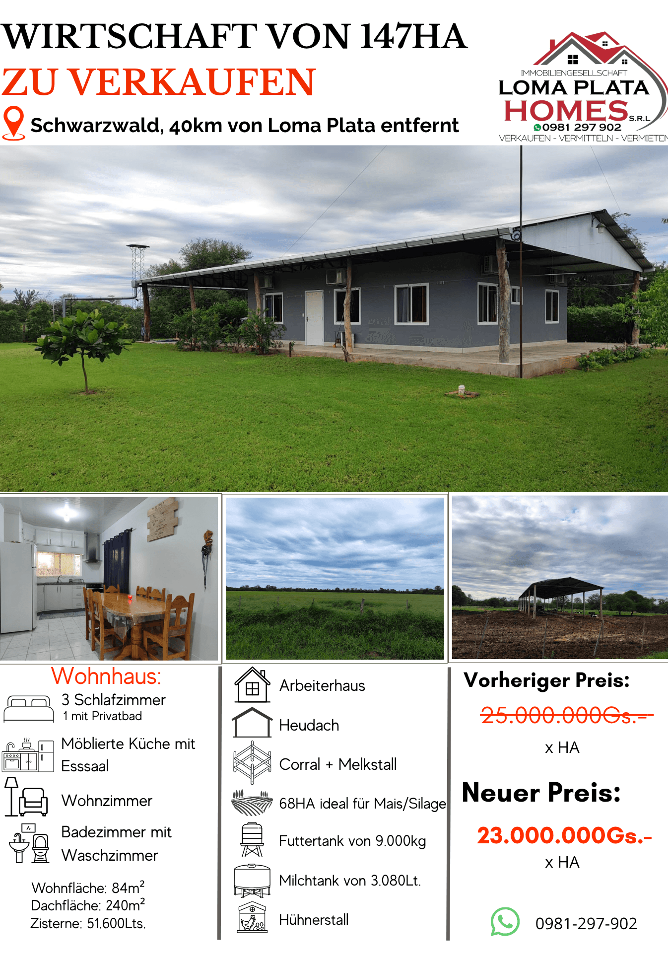 Campo 3 dorm. en venta en Loma Plata - Gs. 23.000.000/ha
