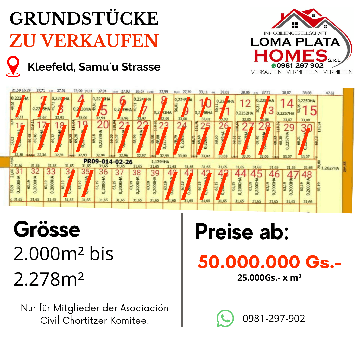 Loteamiento en venta en Kleefeld - Gs. 50.000.000+