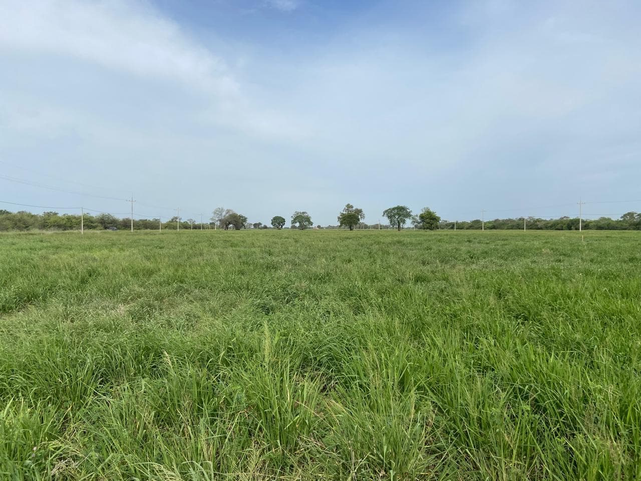 Loteamiento en venta en Reinland - Gs. 30.000 – Gs. 46.000/m²